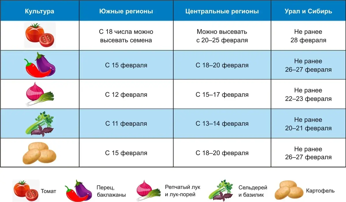 Лунный календарь на посадку картошки - TouristMaps.ru